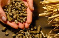 free Colliers Green biomass boiler quotes